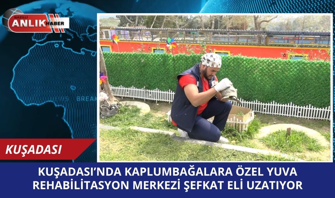 Kuşadası Belediyesi Evcil Hayvan Bakım ve Rehabilitasyon Merkezi, yaralı halde