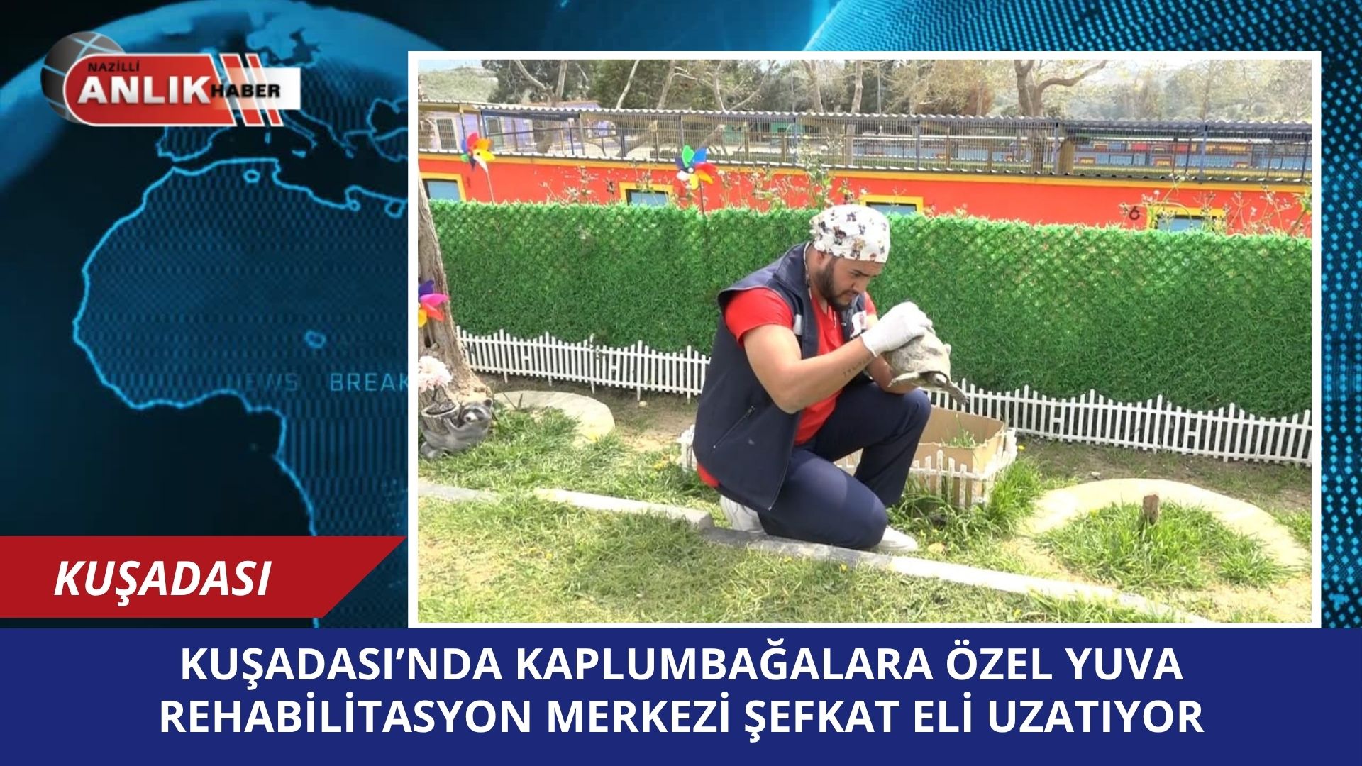 Kuşadası Belediyesi Evcil Hayvan Bakım ve Rehabilitasyon Merkezi, yaralı halde