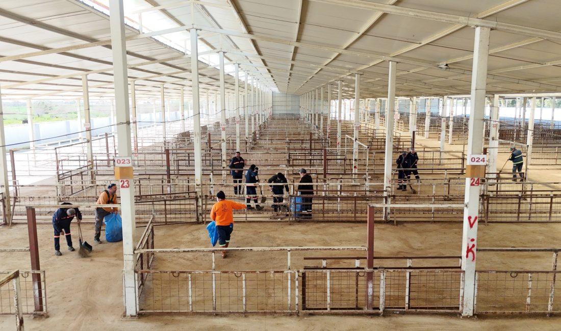 Nazilli’de şap hastalığı nedeniyle uzun