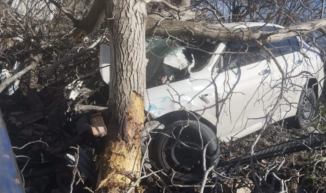 Bozdoğan’a bağlı Haydere Mahallesi yakınlarında