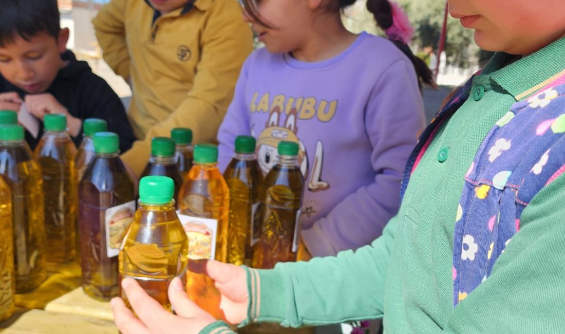Bozdoğan Kızılca İlkokulu öğrencileri, “Kardeş