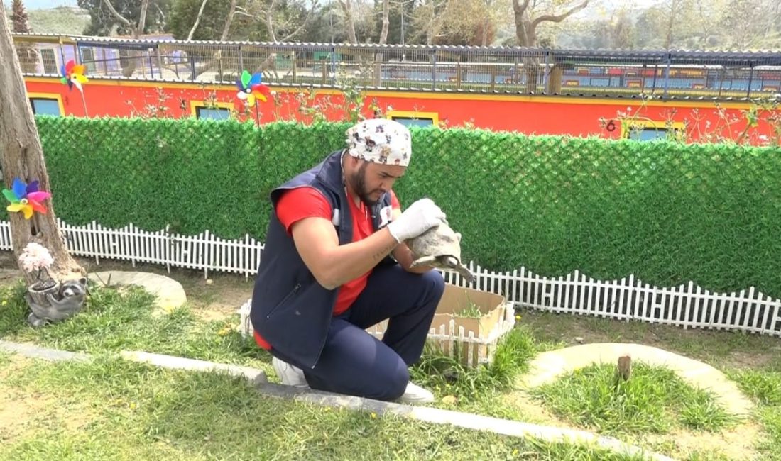 Kuşadası Belediyesi Evcil Hayvan Bakım