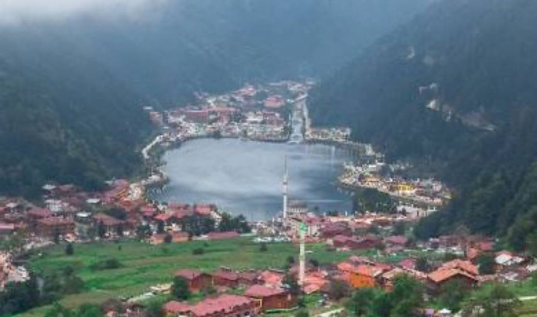 TÜRKİYE – Türkiye İstatistik Kurumu