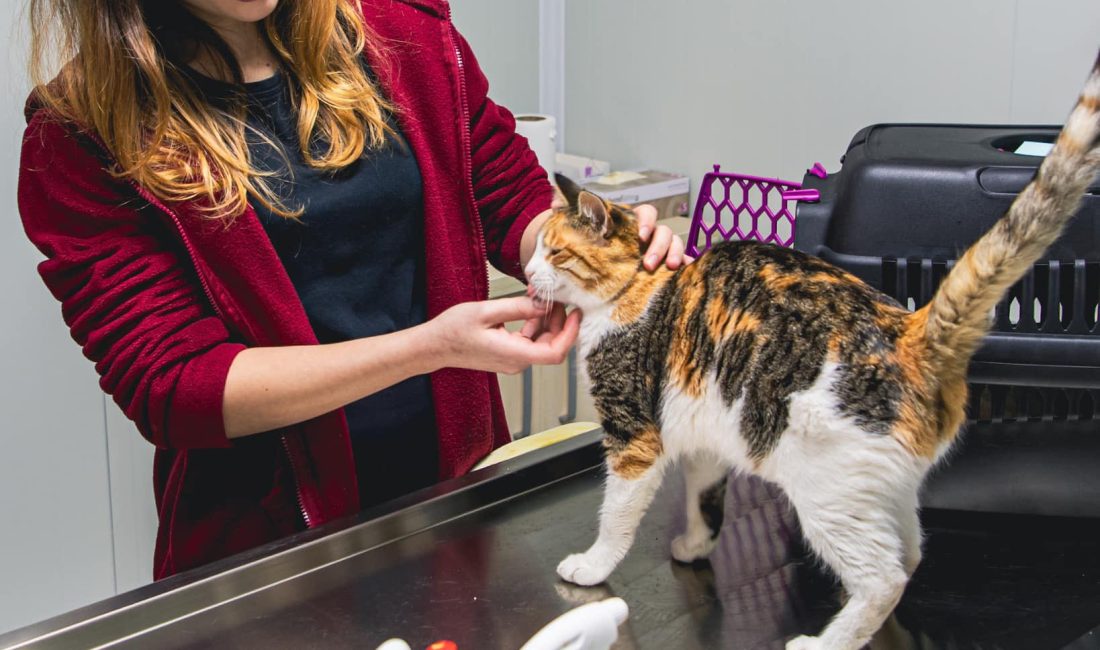 Kuşadası Belediyesi Veteriner İşleri Müdürü