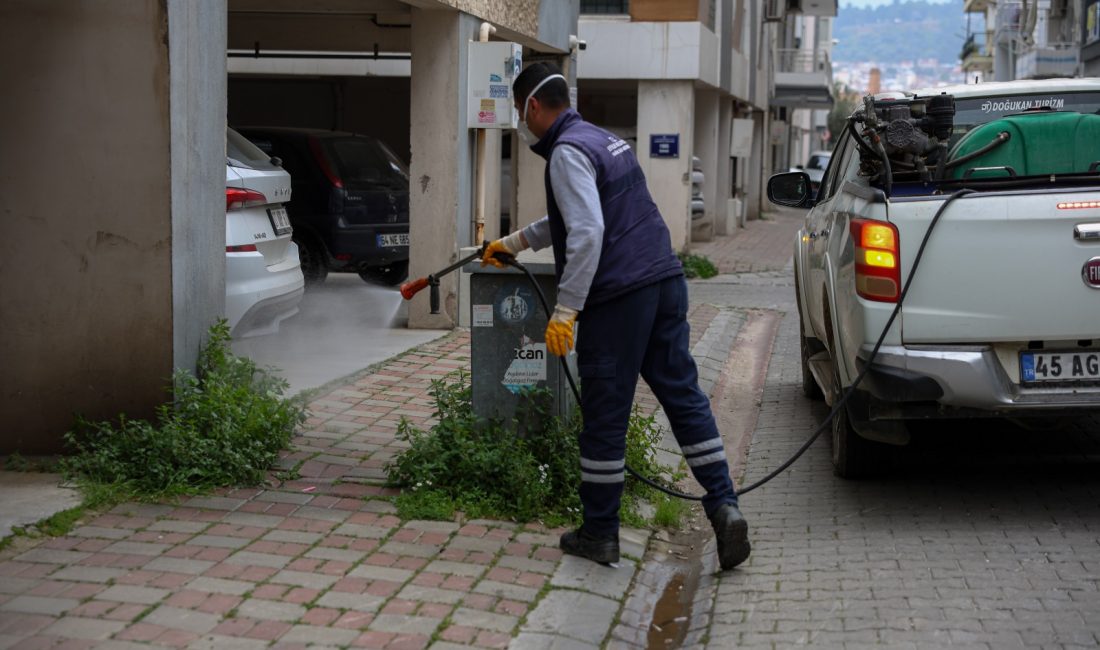 Efeler Belediyesi, bahar aylarının gelmesiyle