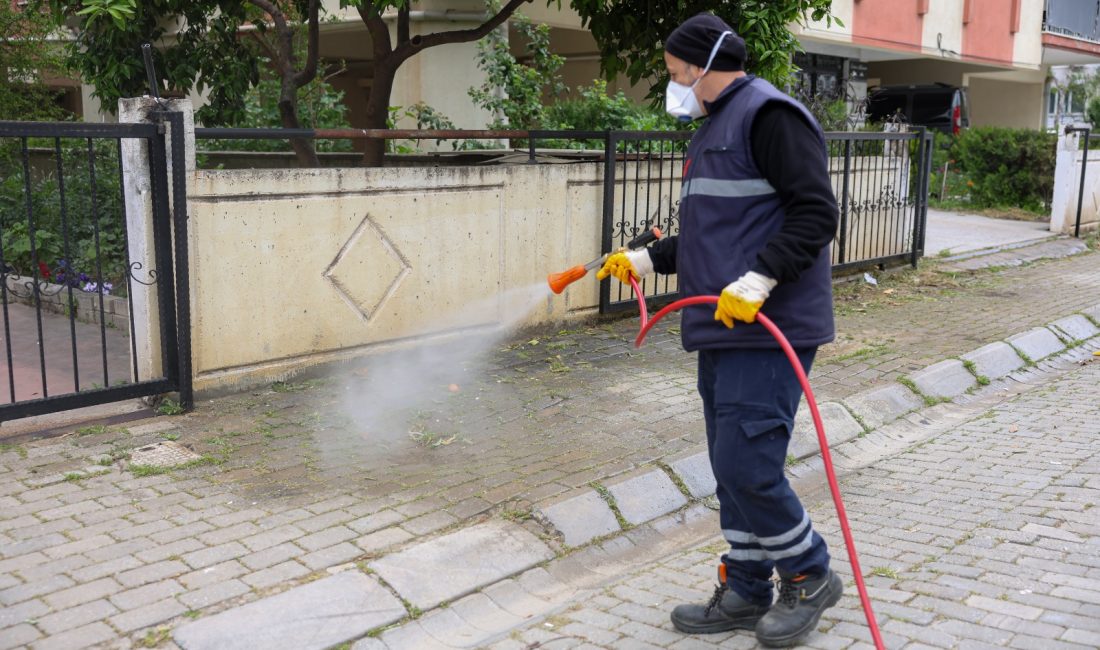Efeler Belediyesi, bahar aylarının gelmesiyle birlikte ilçe genelinde çevre sağlığını