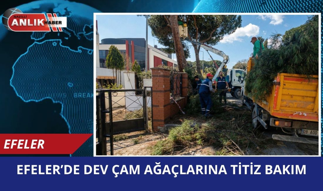 Efeler Belediyesi, ilçenin yeşil dokusunu korumak ve olası kaza risklerini