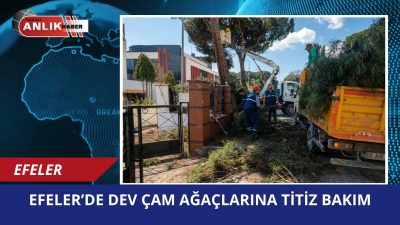Efeler Belediyesi, ilçenin yeşil dokusunu korumak ve olası kaza risklerini