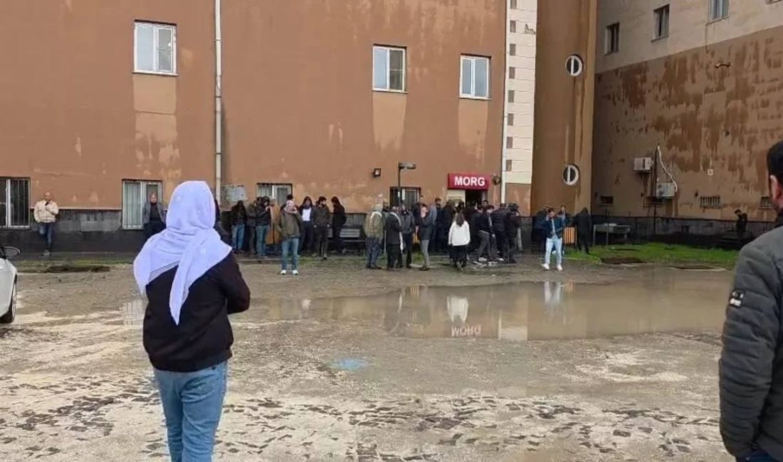 Diyarbakır’ın Ergani ilçesinde okul bahçesinde oyun oynayan çocukların üzerine yıldırım