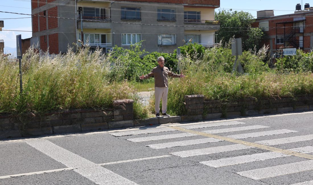 Nazilli Belediye Başkanı Dr. Ertuğrul Tetik, ilçede kontrolsüz şekilde büyüyerek