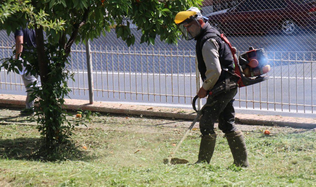 Bozdoğan Belediyesi, ilçenin estetik görünümünü korumak ve halk sağlığını ön