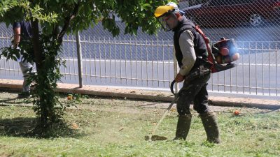 Bozdoğan Belediyesi, ilçenin estetik görünümünü korumak ve halk sağlığını ön