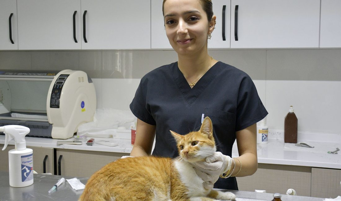 Kuşadası Belediyesi Veteriner İşleri Müdürlüğü