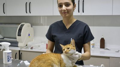 Kuşadası Belediyesi Veteriner İşleri Müdürlüğü bünyesinde hizmet veren Davutlar Kedi