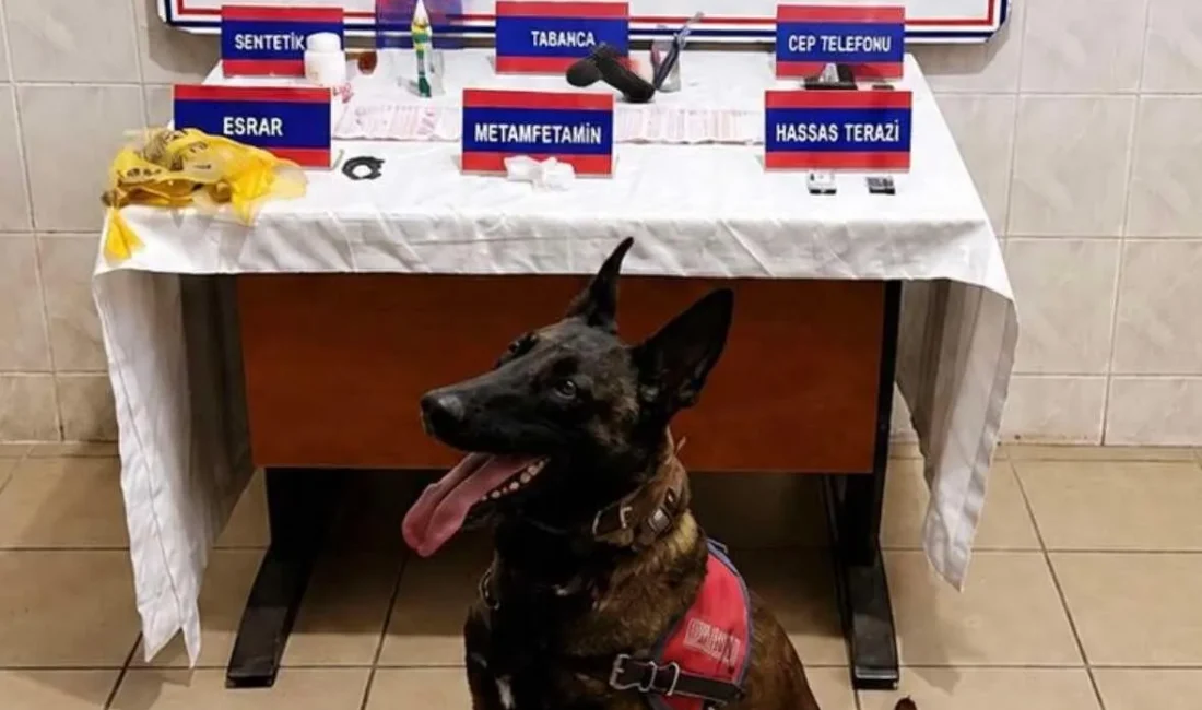 Aydın’ın Nazilli ilçesinde jandarma ekiplerinin uyuşturucu satıcılarına yönelik düzenlediği operasyonda