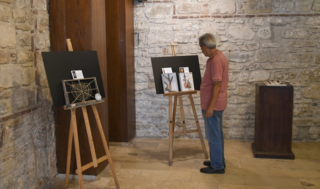 Kuşadası Belediyesi İbramaki Sanat Galerisi, doğanın binbir rengini ve arkeolojinin