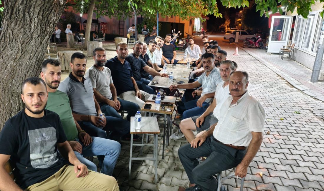 Aydın’ın Nazilli ilçesi ve çevresinde